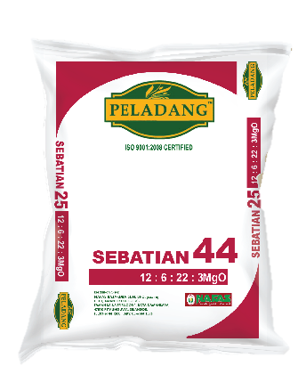 baja Sebatian 44